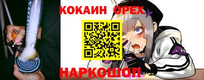 шишки Кинель