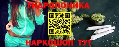 шишки Кинель